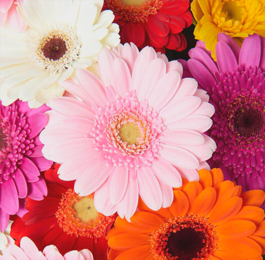 how to send flowers overseas